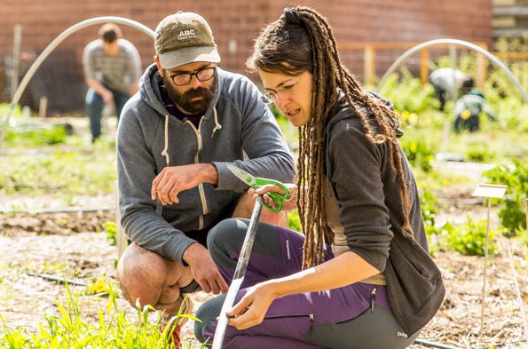 Sustainability Scholars